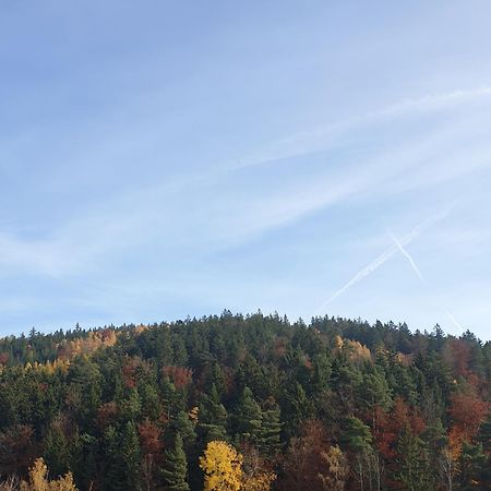 Zlatá léta - apartmánový dům Jáchymov Exterior foto